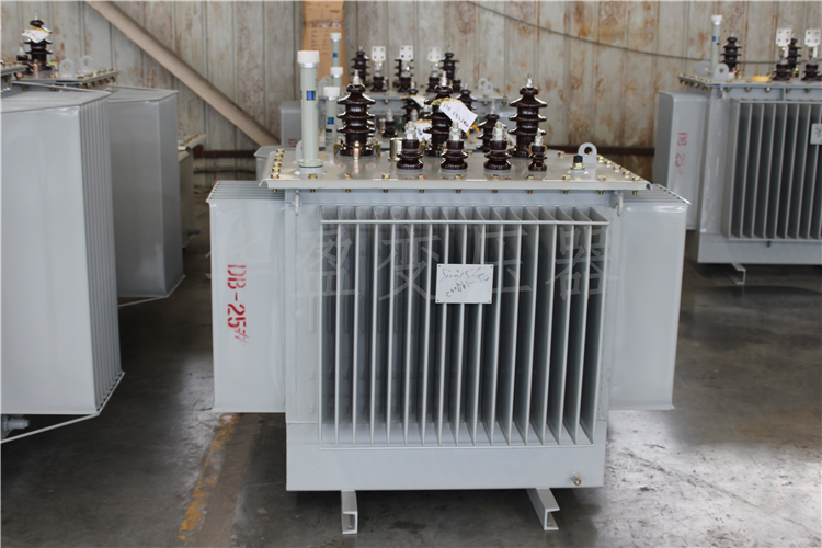 吉安S20-800kVA/10kV/0.4kV变压器